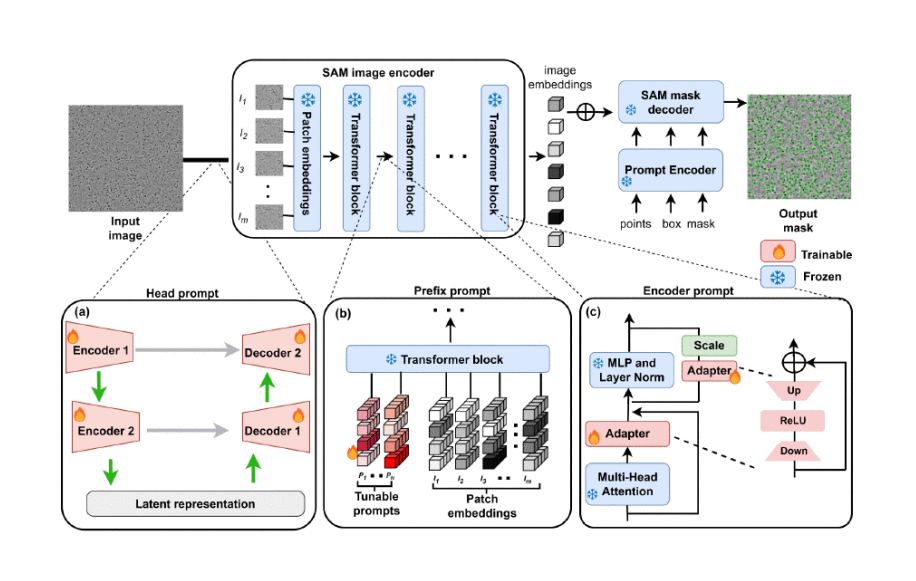 SAM Adaptation Publication
